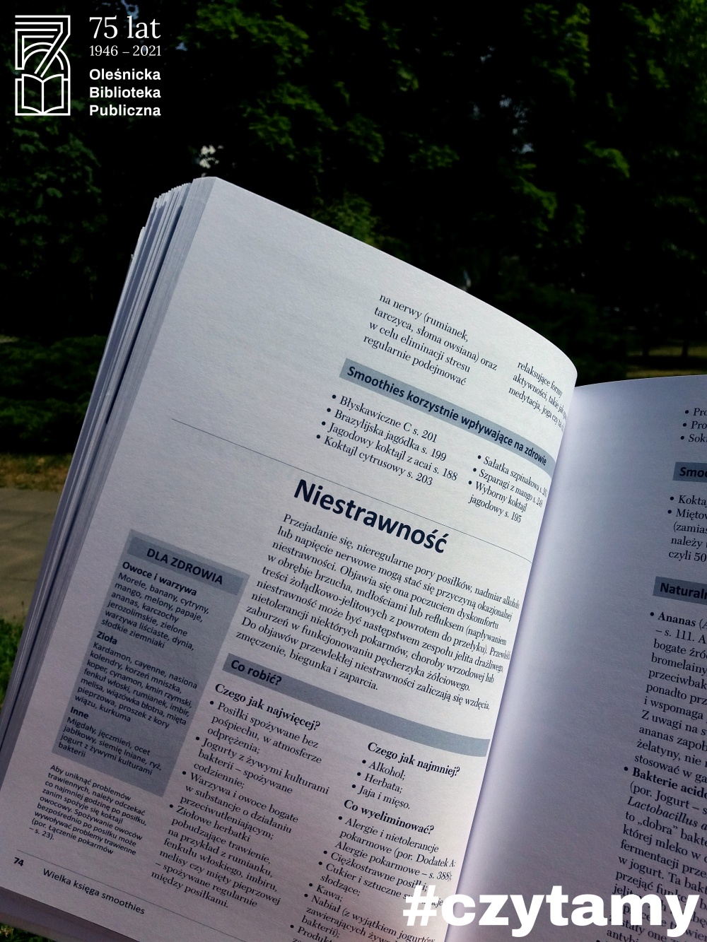 Przykładowe strony książki 